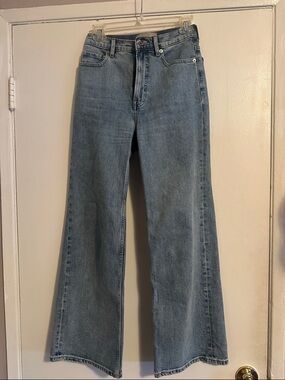 Everlane Way-High Jeans in Light Blue